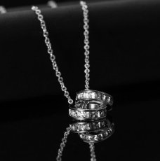 画像2: WジルコニアエタニティリングNecklace　SV (2)